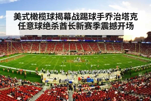 nfl stadium crowd